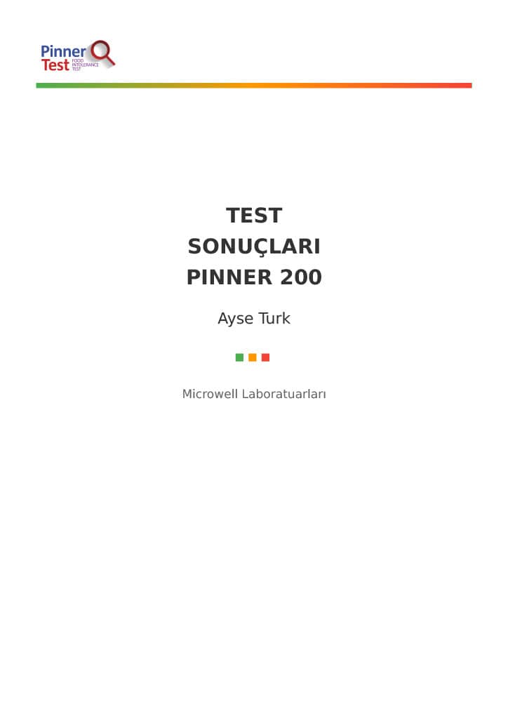 Pinnertest Türkiye örnek sonuç raporu, sayfa 1